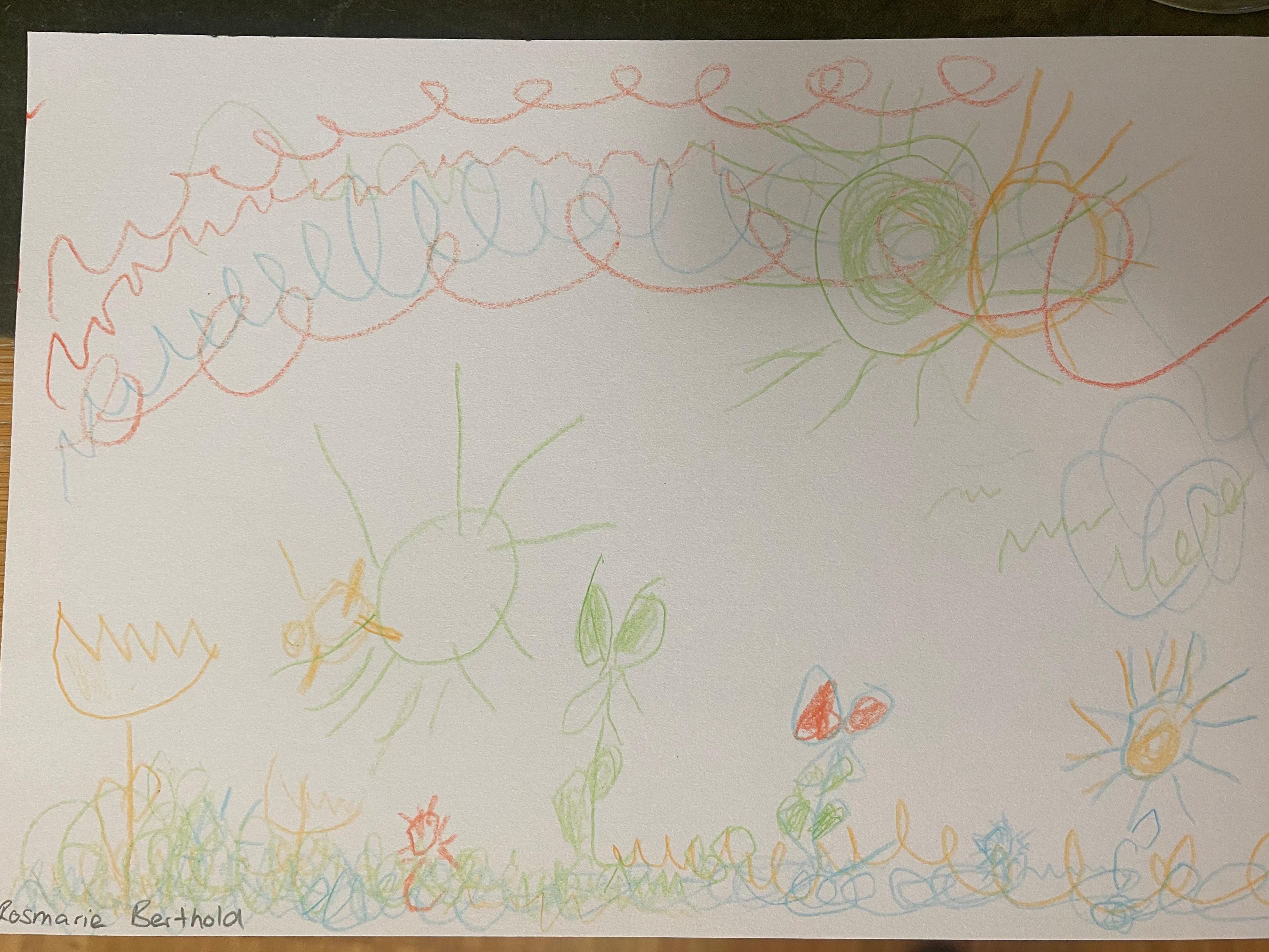 Die Sonnenwiese - Sweater mit Stick